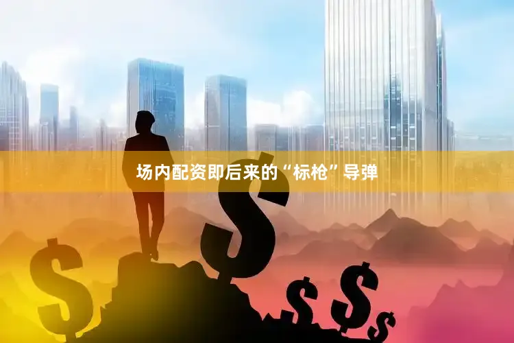 场内配资即后来的“标枪”导弹