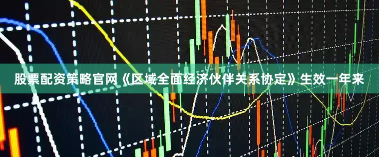 股票配资策略官网《区域全面经济伙伴关系协定》生效一年来